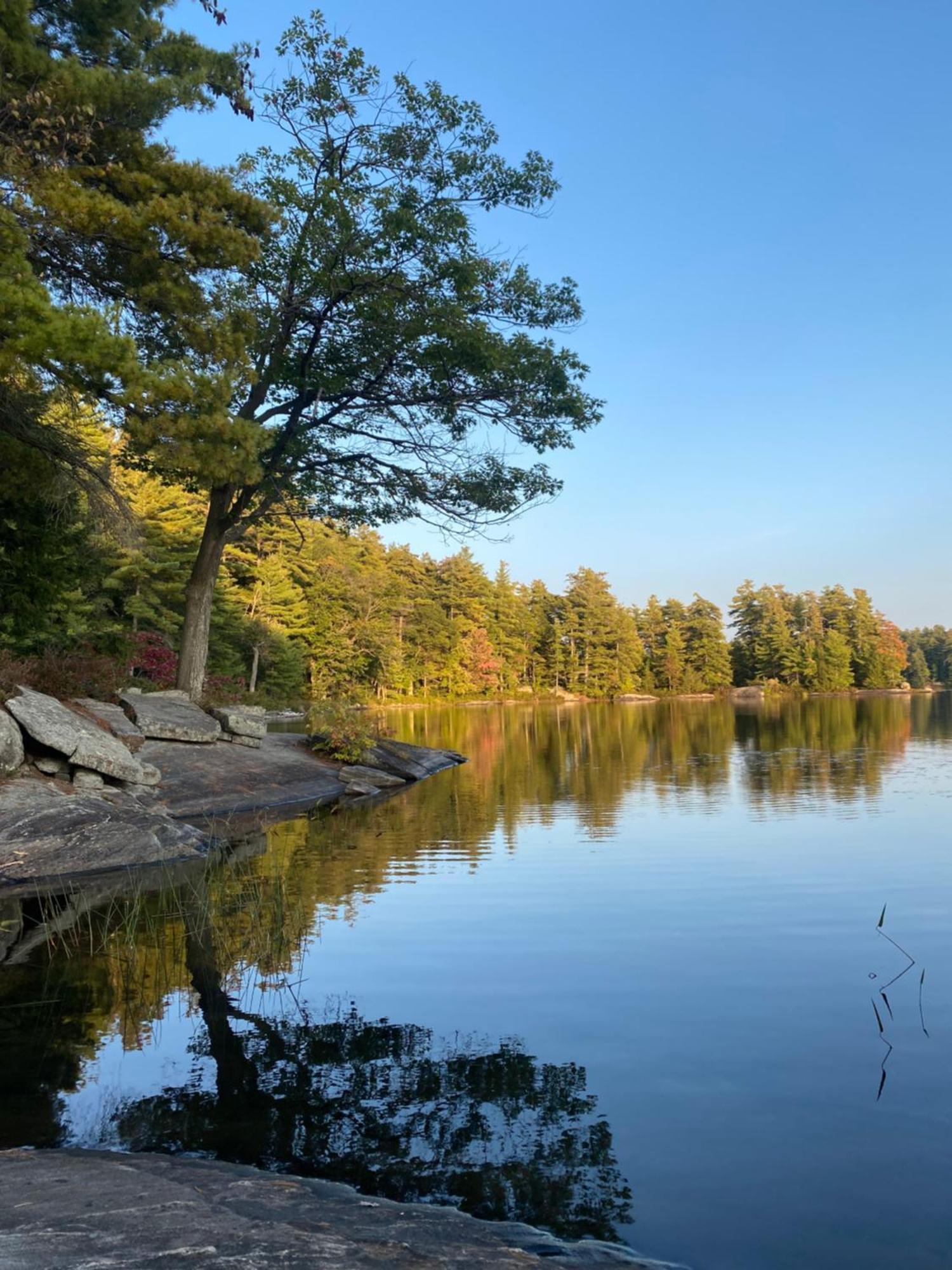 Blue Spruce Bed And Breakfast Muskoka Gravenhurst Exterior foto