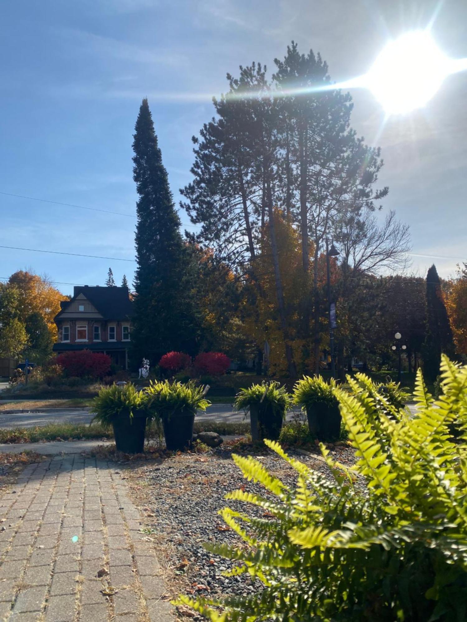 Blue Spruce Bed And Breakfast Muskoka Gravenhurst Exterior foto