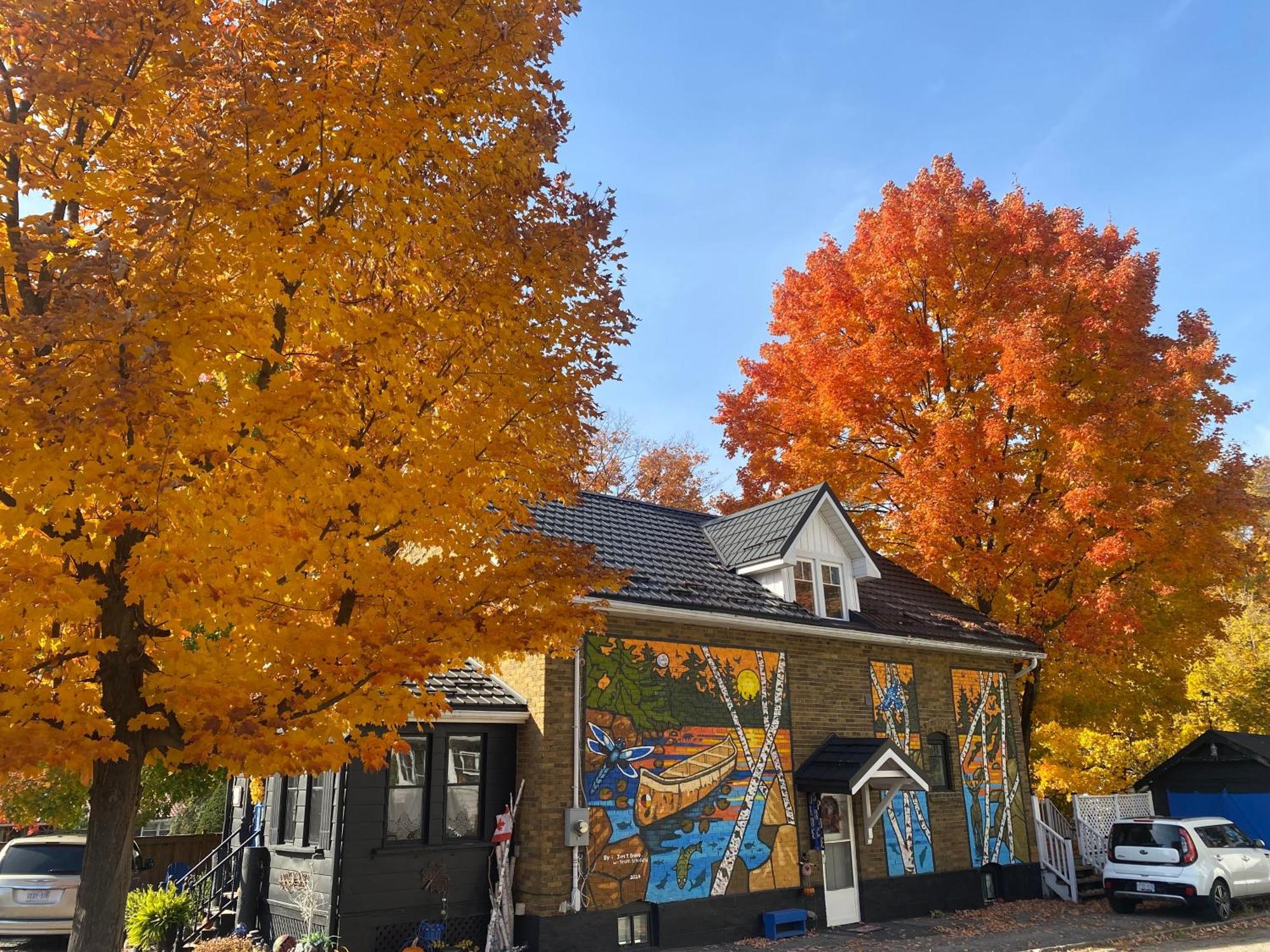 Blue Spruce Bed And Breakfast Muskoka Gravenhurst Exterior foto